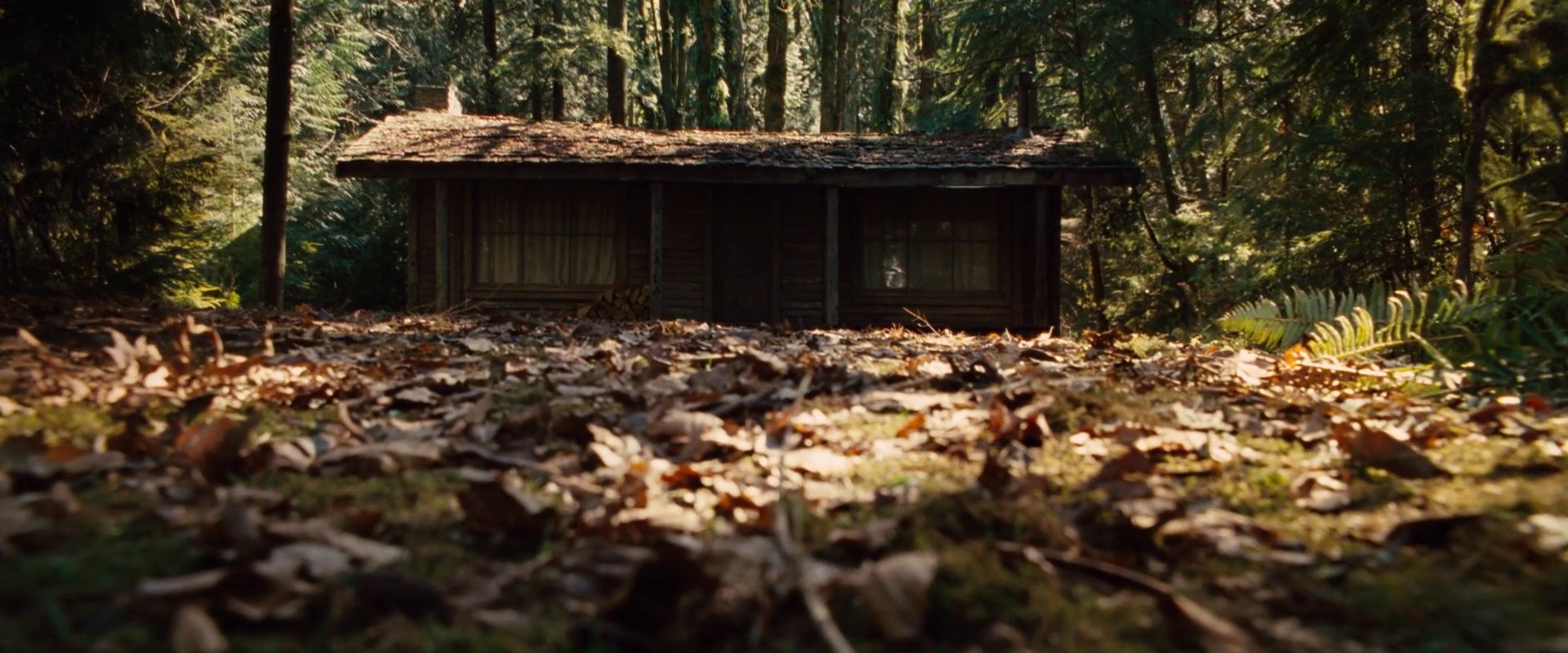 La cabana en el bosque hd