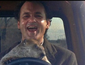 dia-marmota