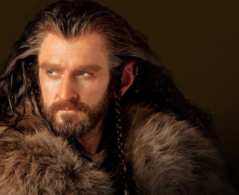 Como Thorin, Escudo de Roble